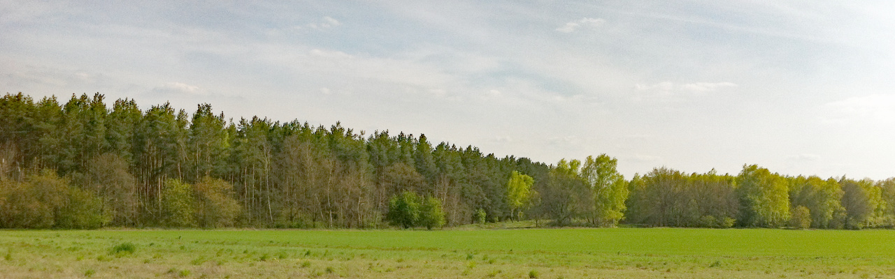 Döberitzer Heide